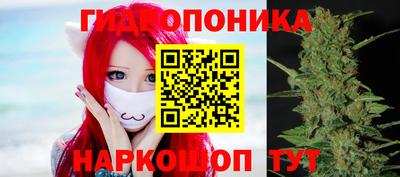 гашик Ивантеевка