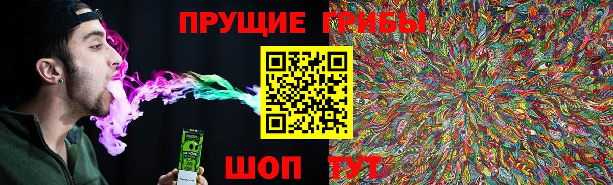 Псилоцибиновые грибы мицелий  Вход с VPN  сколько стоит  Кувандык 